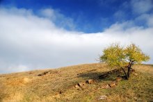 Про степную осень / Донбасский пейзаж