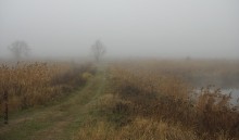Туманный рассвет / Первый опыт съёмки в тумане