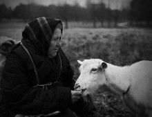 Кормилицы / Ежедневно эта пожилая женщина выводит свою козу в городской парк,кормит ее травой и подкармливает хлебом.
 Коза дает ей целебное молоко.