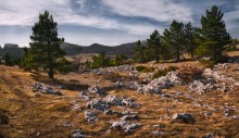 Плато Ай-Петри / Провожу мастер-классы по обработке фотопейзажей в онлайн-режиме (на Вашем рабочем столе).Специальная методика для начинающих.Для деталей: ya.vadlen2010@yandex.ua