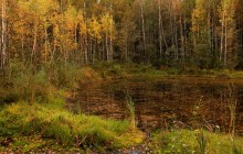 В поисках Аленушки / По мотивам известной картины известного художника