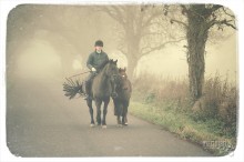 Riding a Horse / Fog in the morning