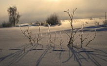 Зимние письмена / Солнце рисует причудливое послание