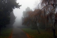 Осенний полонез # 5 / В этот день был сильный туман