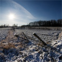 \ / Скоро наступит зима, и весь фотоклуб будет завален зимними снежными пейзажами. Преимущественно леса, конечно )))
Начнем пожалуй. 
Первый белорусский снежок и первый настоящий морозец этого года...