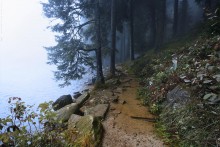 Туманная тропинка / Mummelsee. Schwarzwald (Germany) Озеро расположенное на высоте 1.036 метров. Название порисходит от старинного немецкого слова &quot;die Mumme&quot; - нимфа. Озеро с древности окутано мистическим ореолом и до сих пор поговаривают, что оно наполнено нимфами и русалками.