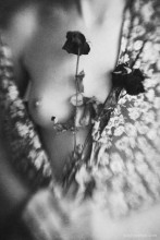 Black roses / http://soul-portrait.com/