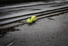 Яблоки на асфальте / Осенью увидел яблоки, которые лежали на краю дороги...