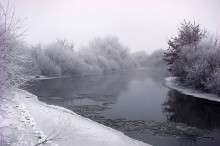 В начале зимы / Полесье