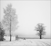 /  Лаконичный пейзаж  / / проезжал мимо..
другой ракурс: http://photoclub.by/work.php?id_photo=226149#t