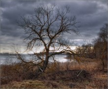 / На краю земли / / Второй вариант, в цвете
Монохромный, первый вариант - тут: http://photoclub.by/work.php?id_photo=226900#t