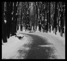 Классика жанра / Парк, дорожка, скамья. Зима