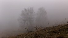 туман / **********