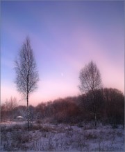 / Вечереет.../ / -17 °
Состояние природы.....атмосфера зимнего вечера...
старался их передать.
Композиционно весьма спорно, знаю...