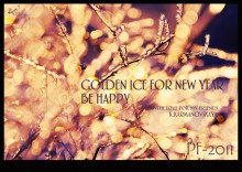 golden ice for new year/be happy / golden ice for new year/be happy