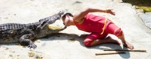 крокодилья ферма / тайланд