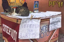 PF`2011 / г. Мозырь, Гомельской области, 2010 г.