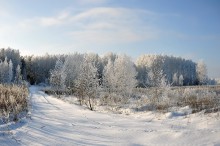 Зимушка-волшебница... / Зима мое любимое время года.Вот взял камеру в руки и снял вот такой пейзаж зимний.