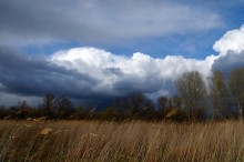 Перед дождем. / Перед дождем ветер скис,и я поспешил этим воспользоваться.