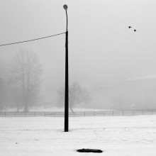 Туман / 10.01.2010