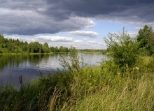 На Нерли / Конец августа, Тверская область река Нерль