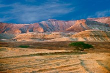 Пустыня / Пустыня Израиля