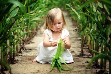 Девочка в кукурузе / Девочка в кукурузе