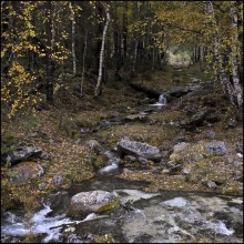 Горный ручей / Золотая осень в Саянах, Аршан, Бурятия.
