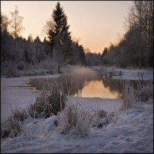 Морозно / Зима в Гатчинском парке.