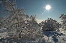 Зимним утром... / Волгоград. 2010. Прогулка по окрестностям одним зимним утром.