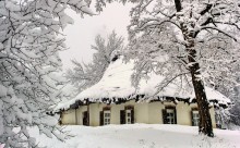 Зимно / Зима в Полтавской области
