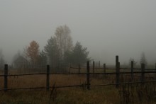 Утро,туман. / В этот утро, выдался очень сильный туман,висел до середины дня...