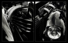  / SHOW-CARS 2010