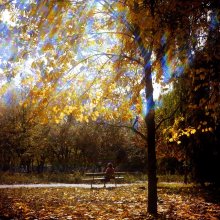 Осень в парке. / Осенний этюд в одном из парков Одессы.