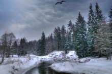 Январская / Лишь звериные следы к водопою по берегам...