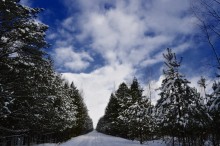 Зимний лес / начинаю пробовать снимать пейзаж, подскажите какие основные недостатки