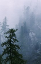 Алтайские хроники / Морсь переходящая в туман