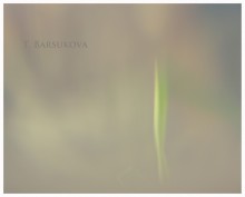 Postcard / Цвета и линии