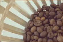 &nbsp; / арабика...