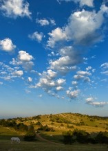 Белогривые лошадки / Крым, Ай-Петри