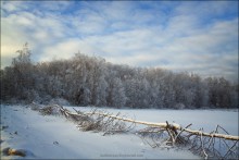 Январь. / Репост в цвете.