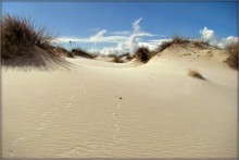 босиком / Белые Пески, Национальный парк, Нью-Мексико, США
http://en.wikipedia.org/wiki/White_Sands_National_Monument