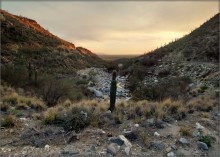 прогулки по Лимоновым горам ...3 / Lemmon Mountains, Arizona