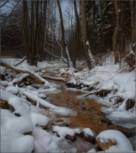 / О студеной воде (II) / / Один из притоков р.Ислочь

25.01.2011 15:57, пасмурно...
ISO 200, 2.5 cek, /f10.0