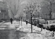 снег и город / после снегопада. г. Полтава
