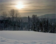 Серебряные сны  леса / или под снежным одеялом зимы