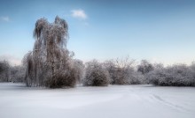 Чудо-Юдо / Коломенский пейзаж