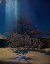 Зимняя сказка / На самом деле фотографировал через окно и это отражение света из другой комнаты:)