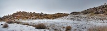 зимняя панорама с барашками / по дороге в Чарынский каньон...