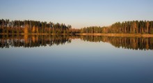 Летающий Лес / Летающий Лес